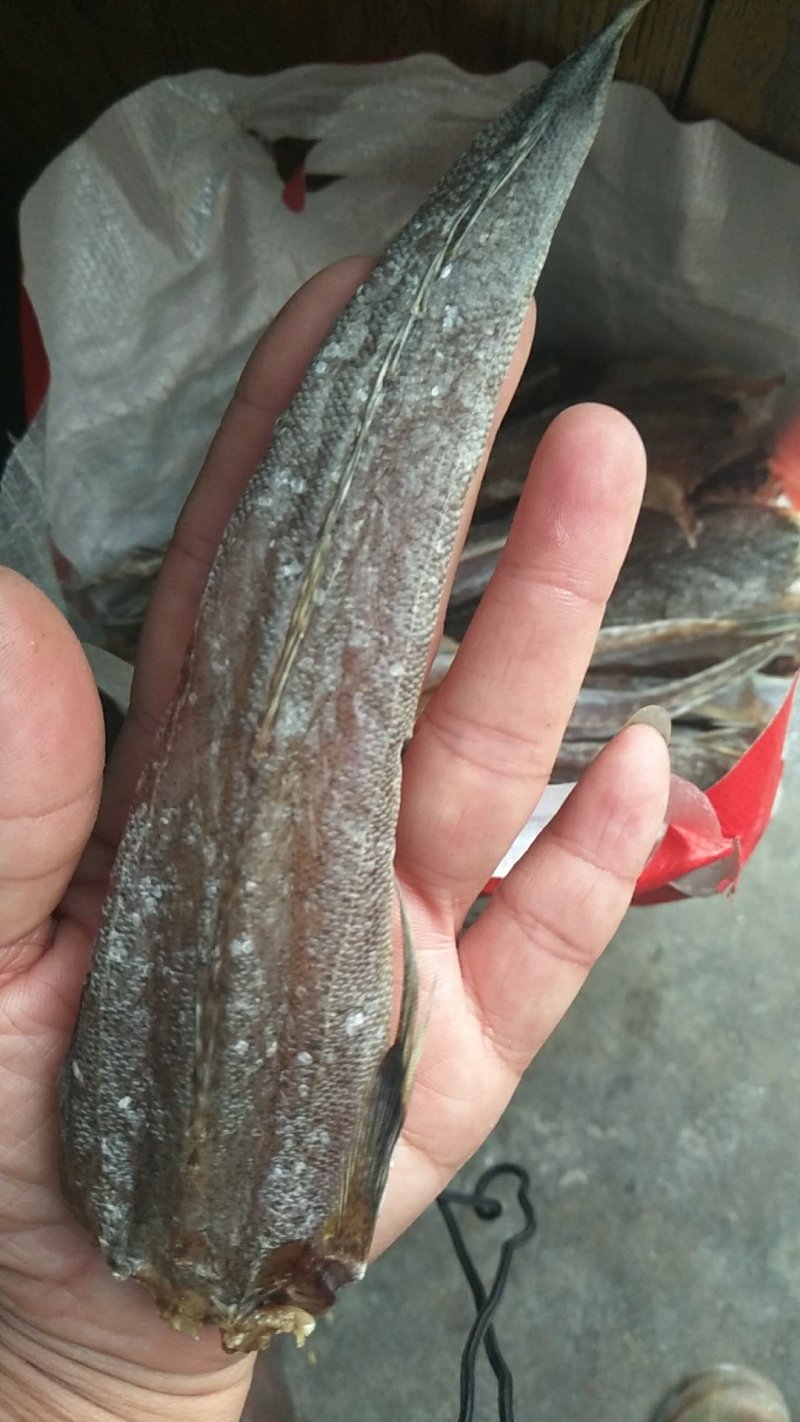 一撸鲜辫子鱼干