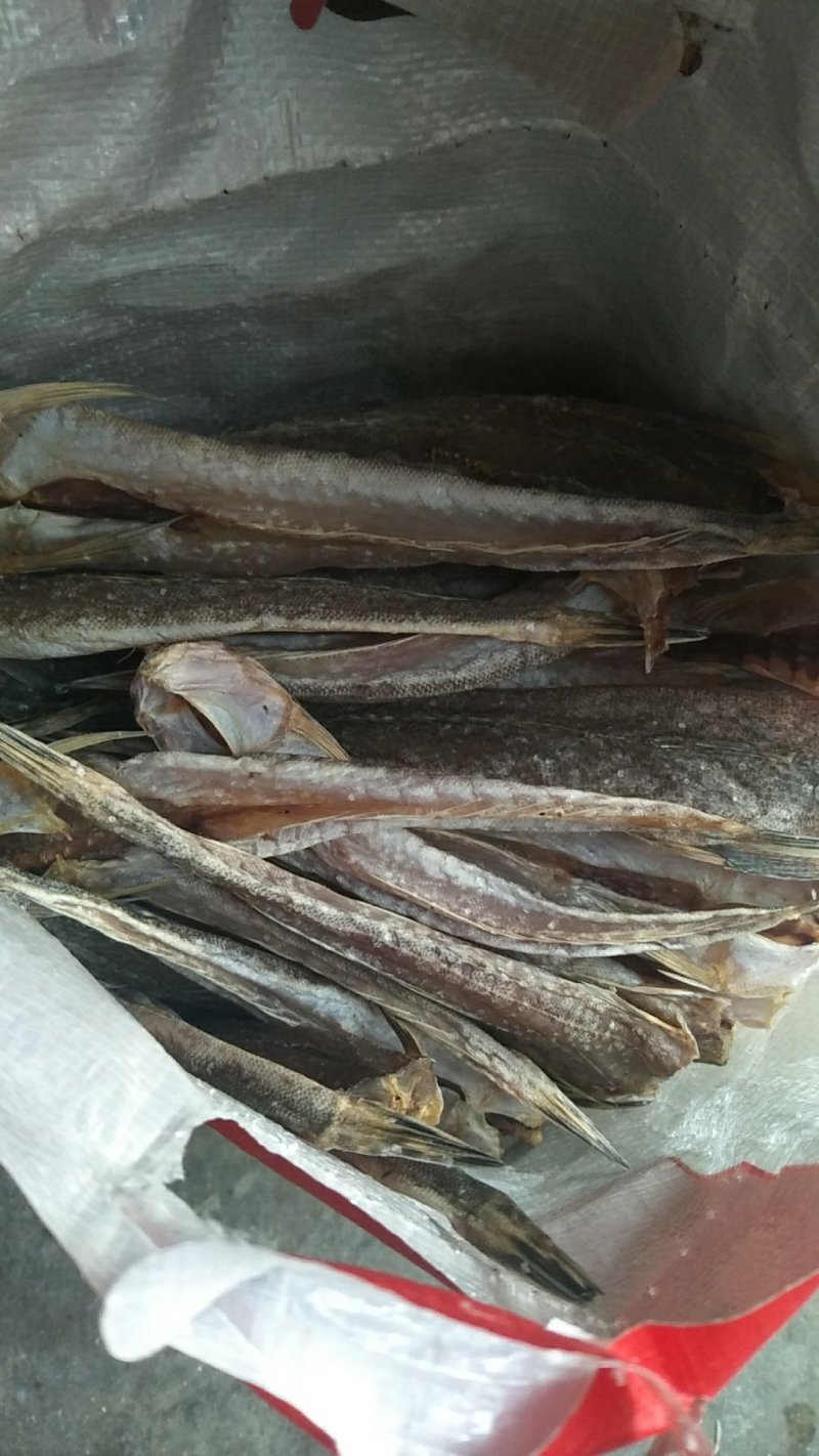 一撸鲜辫子鱼干