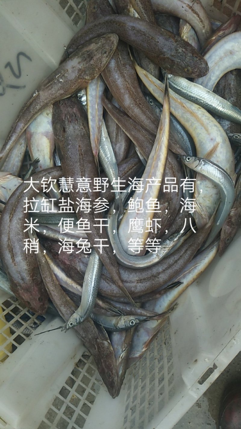 一撸鲜辫子鱼干