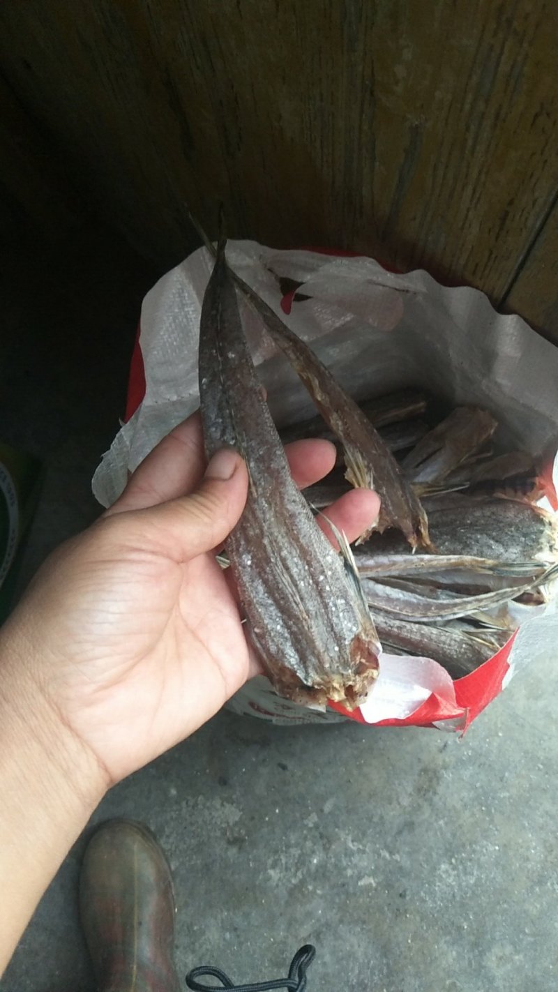 一撸鲜辫子鱼干