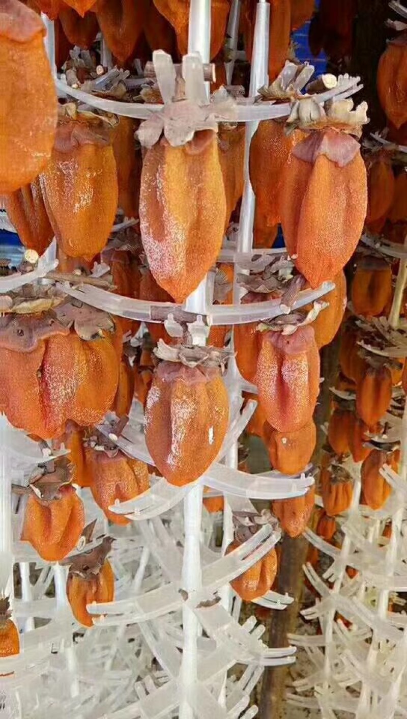 山西省永济市金柿利柿饼合作社