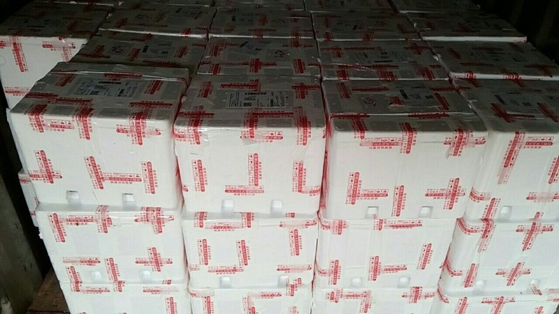 精品番石榴