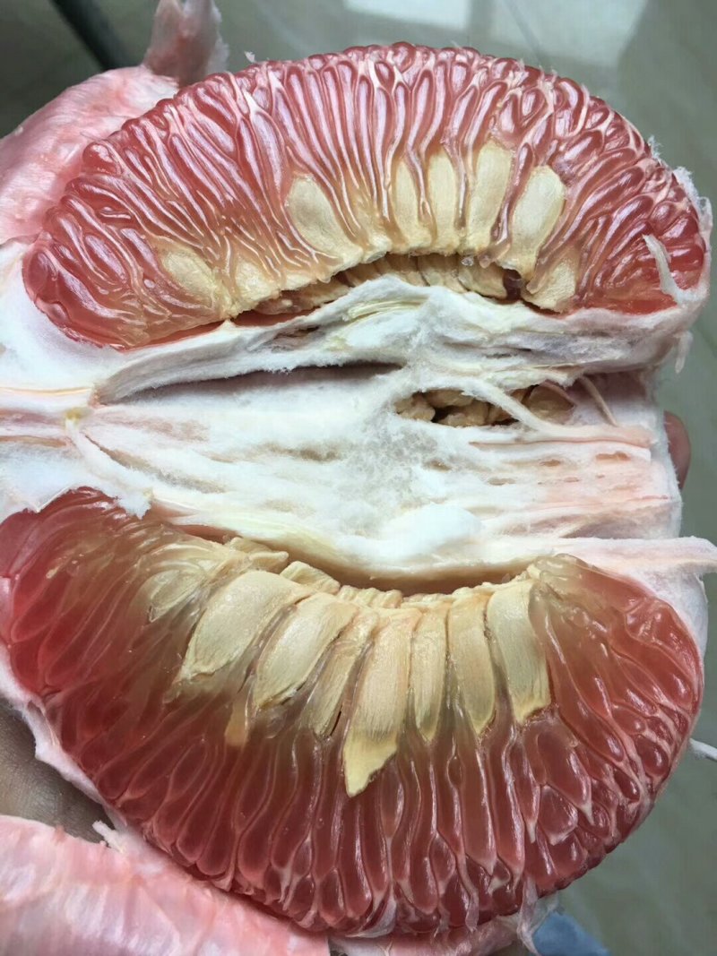 广丰大南马家柚