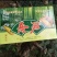 品质第一后谈钱💰
