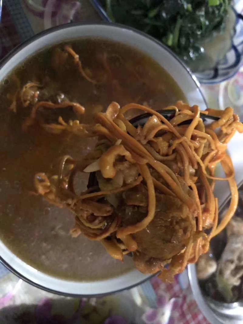 虫草花