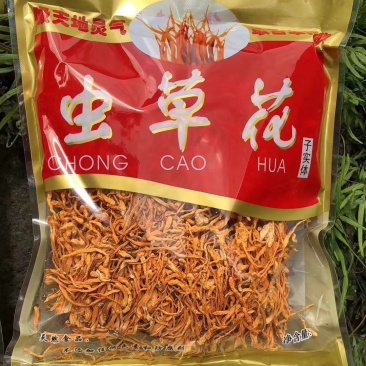 虫草花