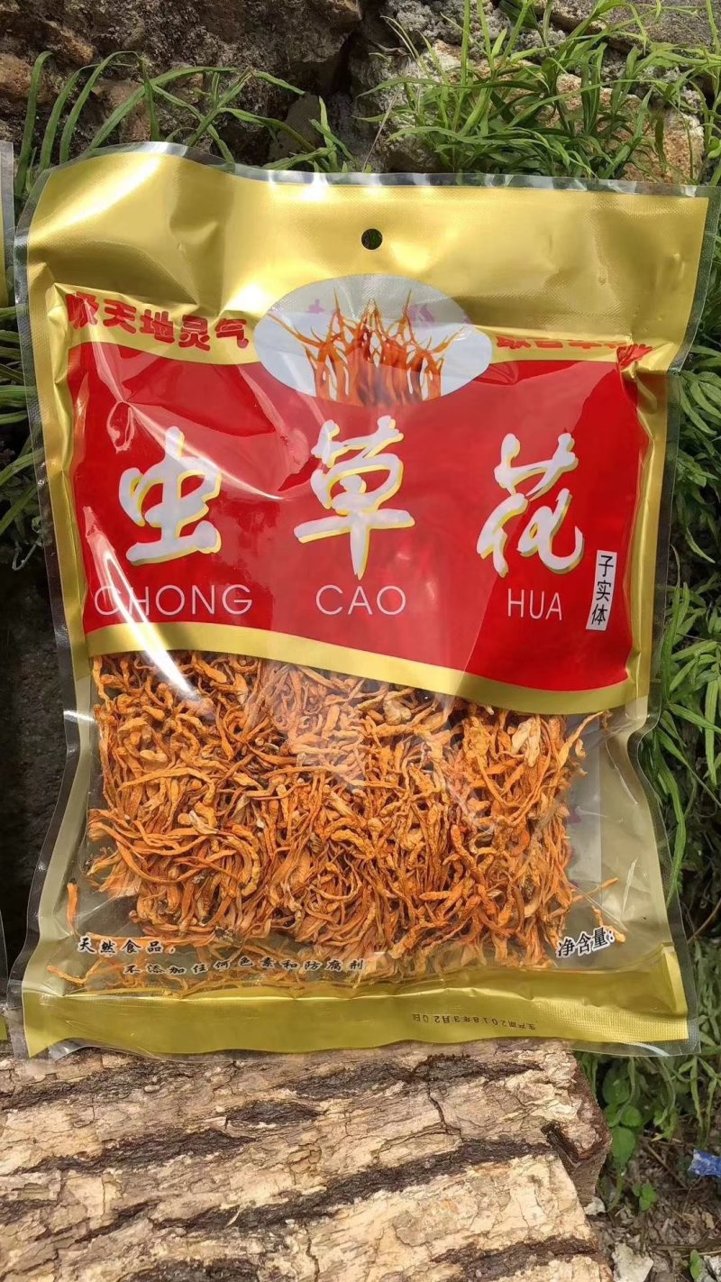 虫草花