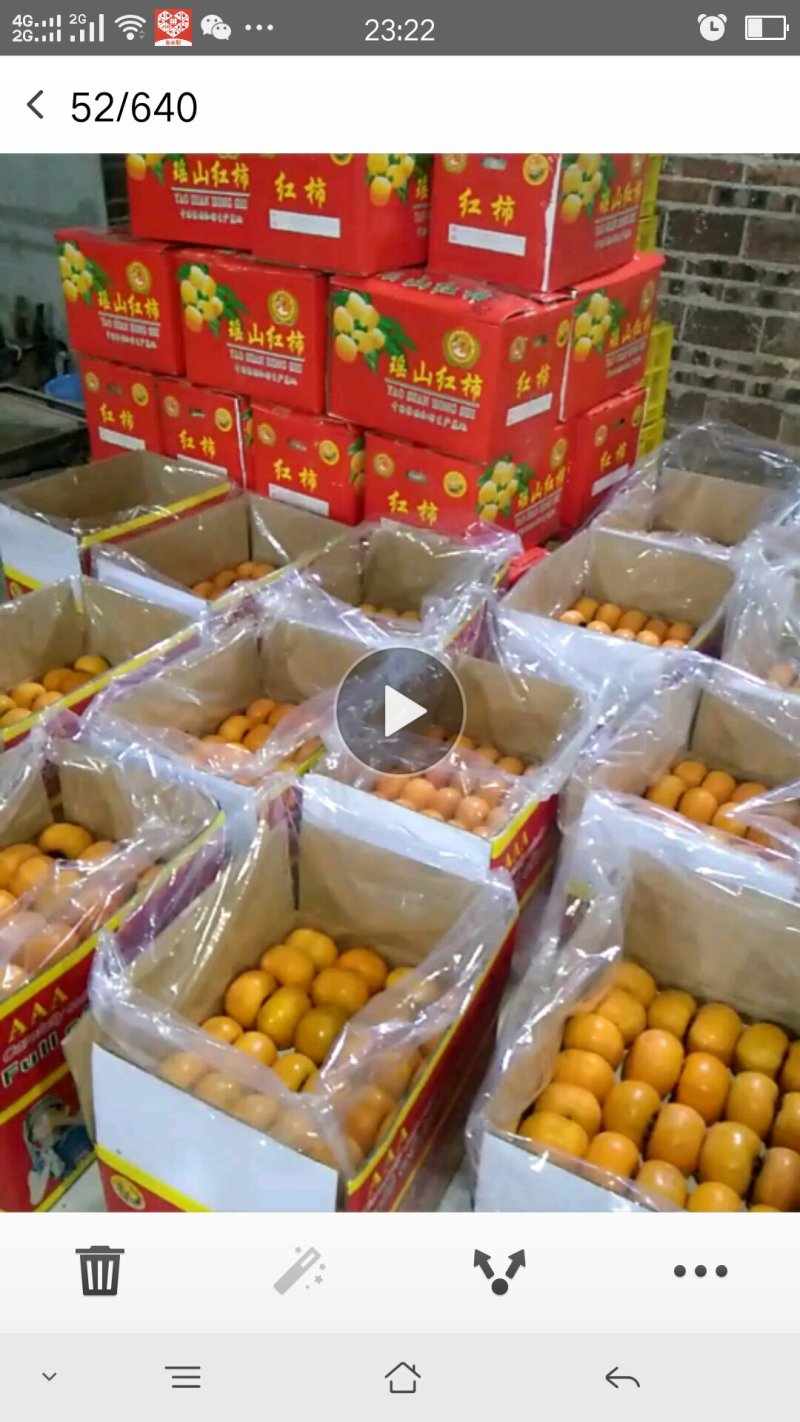 泰国越南俄罗斯等出口精品柿子，瑶山脆柿大红柿子