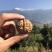 【牛商】薄皮核桃云南高山薄皮大泡核桃饱满价格优惠
