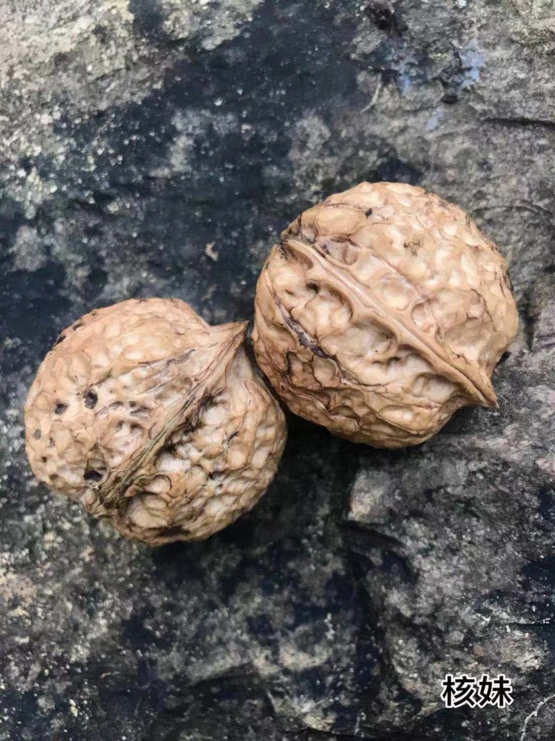 【牛商】薄皮核桃云南高山薄皮大泡核桃饱满价格优惠