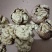 【牛商】薄皮核桃云南高山薄皮大泡核桃饱满价格优惠