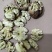 【牛商】薄皮核桃云南高山薄皮大泡核桃饱满价格优惠