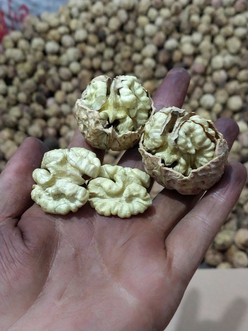 【牛商】薄皮核桃云南高山薄皮大泡核桃饱满价格优惠