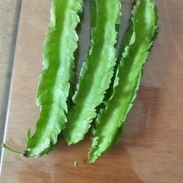 四棱豆