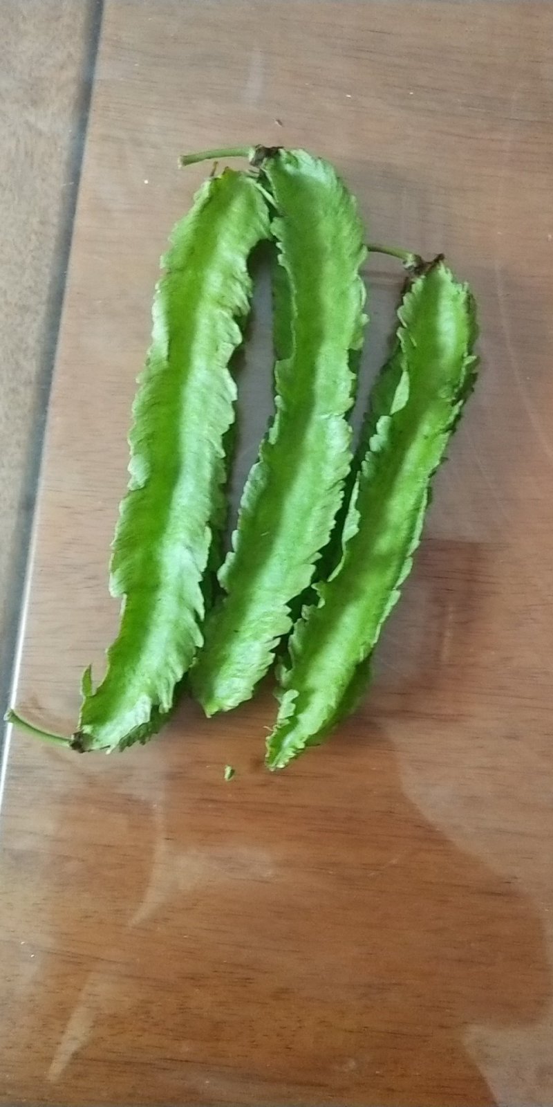四棱豆