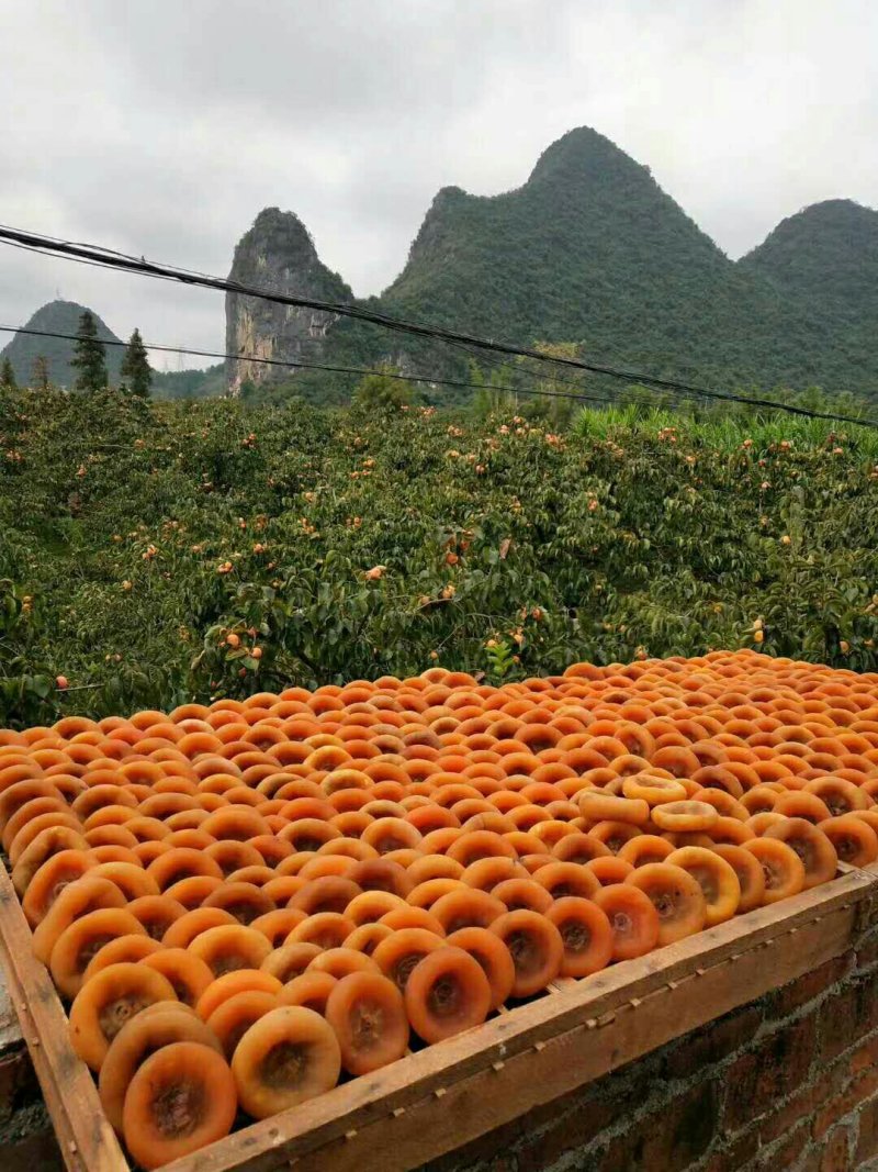 柿饼，恭城柿饼批发