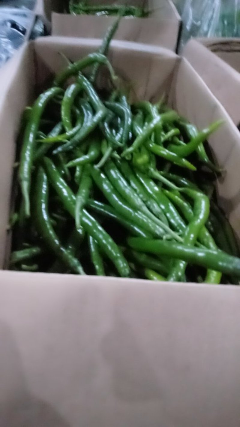 青线条1.56......黑条2.56