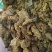 黄蜀葵花