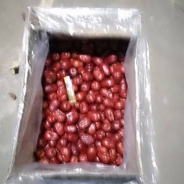 一级