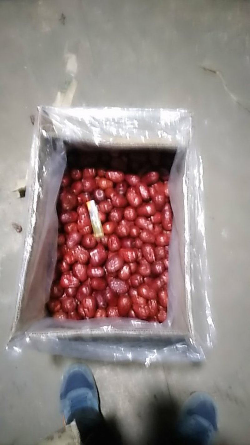 一级