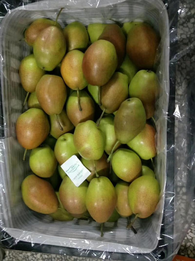 【热卖】梨陕西精品红香酥梨原产地直发货源充足
