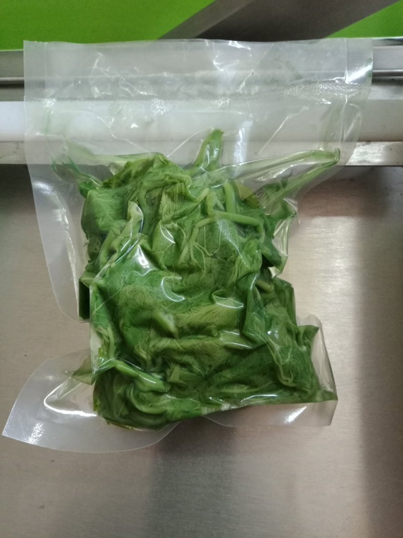 桑芽菜
