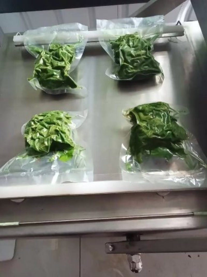 桑芽菜