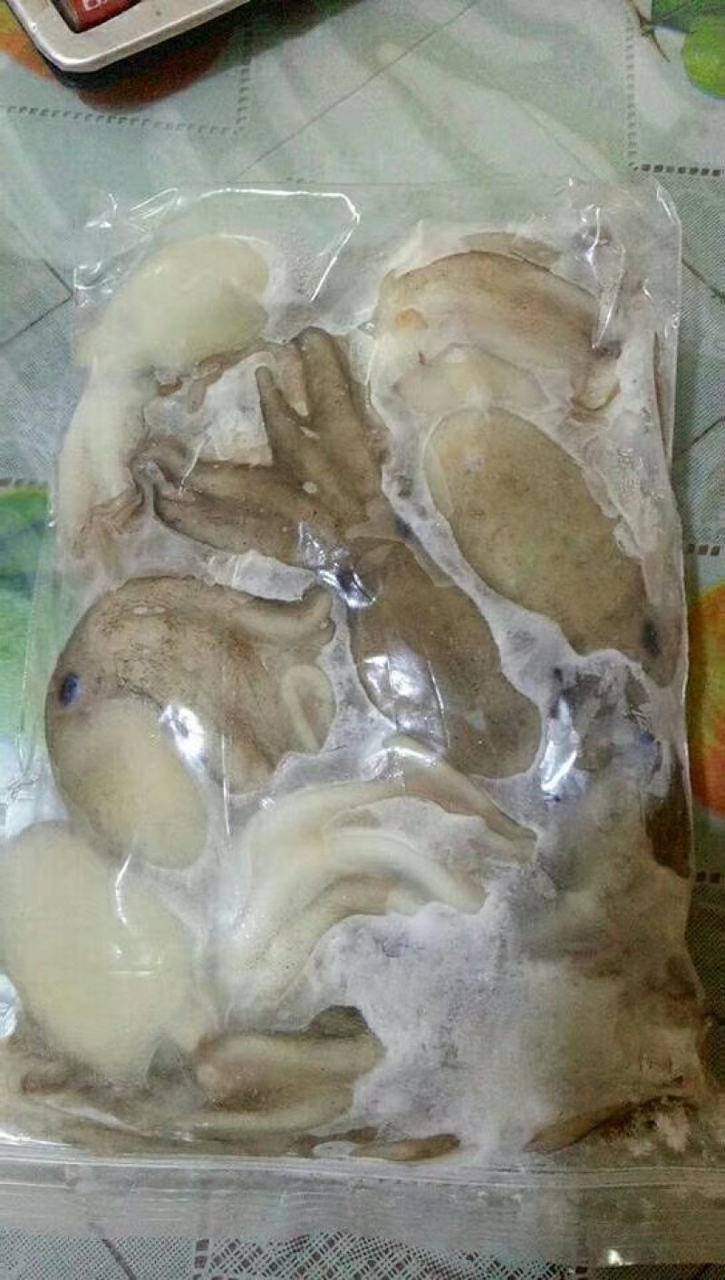 八爪鱼