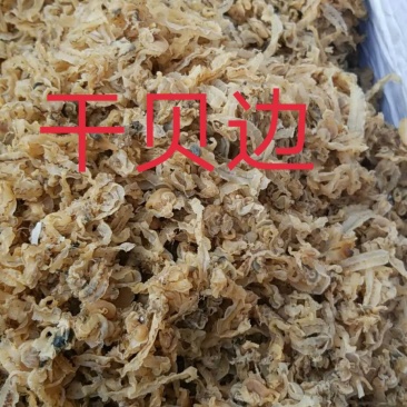 干贝边/扇贝，老板电话联系，产地直发品质好