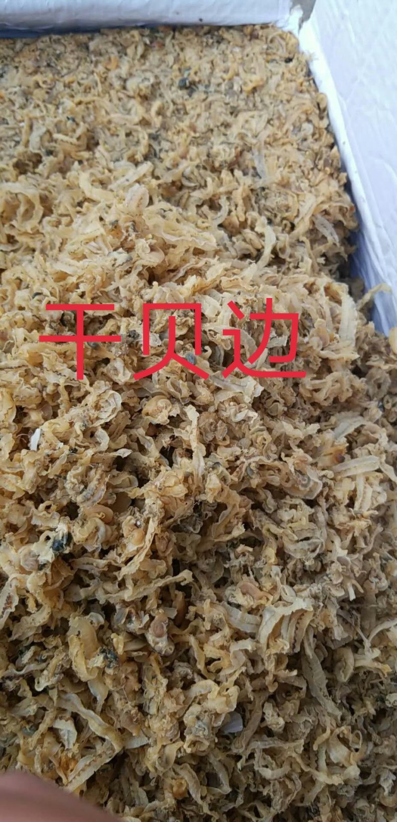 干贝边/扇贝，老板电话联系，产地直发品质好