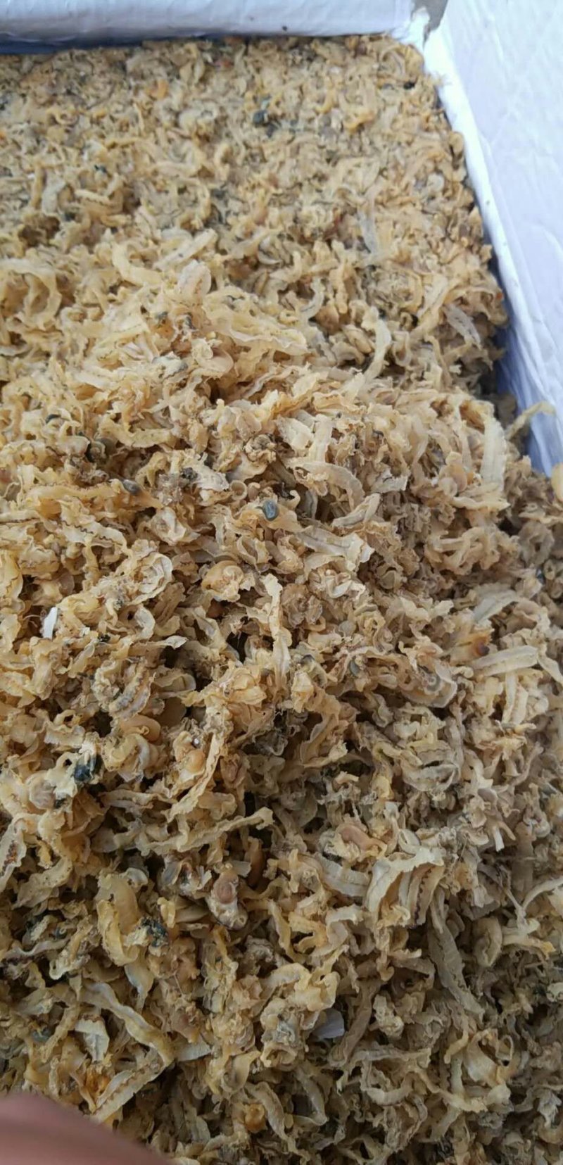 干贝边/扇贝，老板电话联系，产地直发品质好