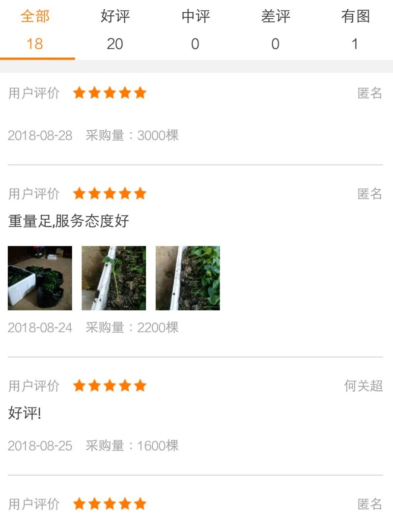 布利塔长茄≥60天抗病高产生长快嫁接11年预订更优惠