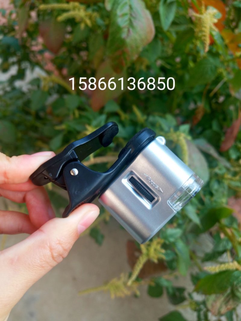 手机显微镜