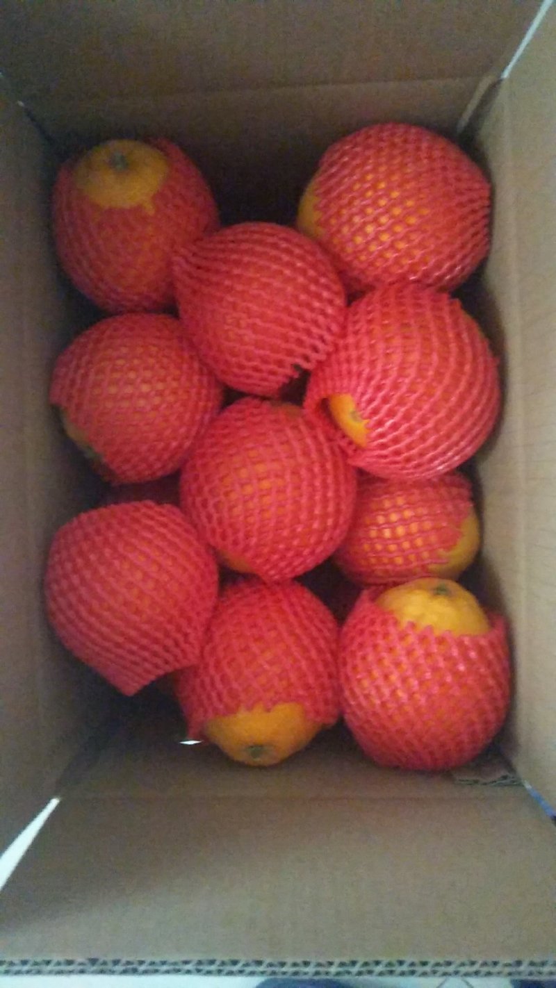 赣南脐橙，无添加任何添加剂和防腐剂，自然鲜甜，