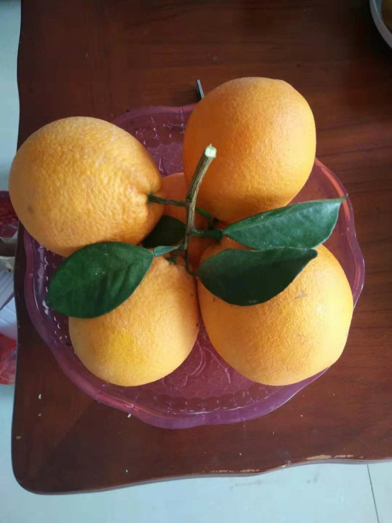 赣南脐橙，无添加任何添加剂和防腐剂，自然鲜甜，