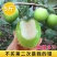 牛奶枣