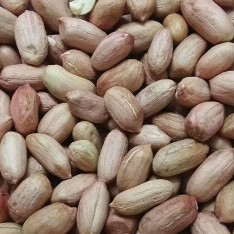 花生一级货高质量产地发货规格品种齐全高质量产地直销