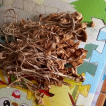 茶树菇干