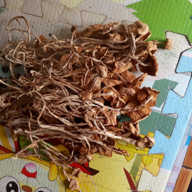 茶树菇干