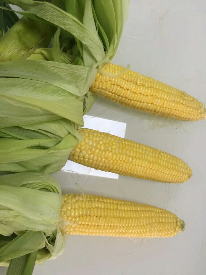 3号线辣椒，甜玉米还8号线辣椒