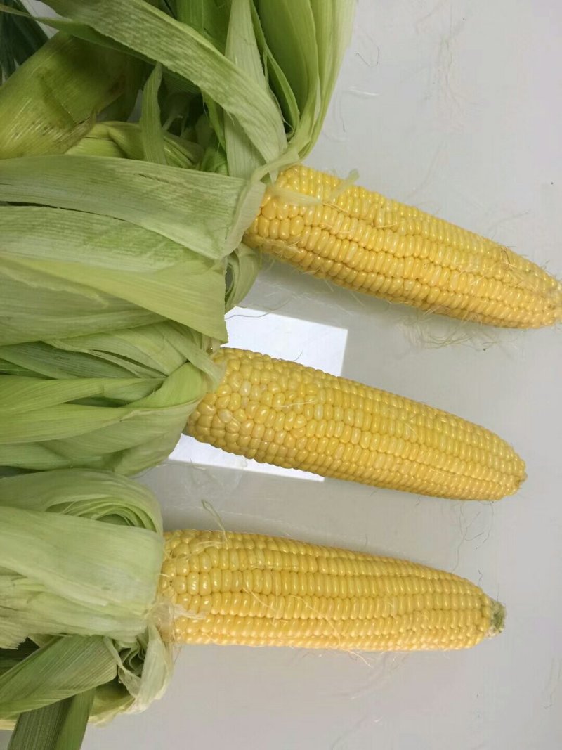 3号线辣椒，甜玉米还8号线辣椒