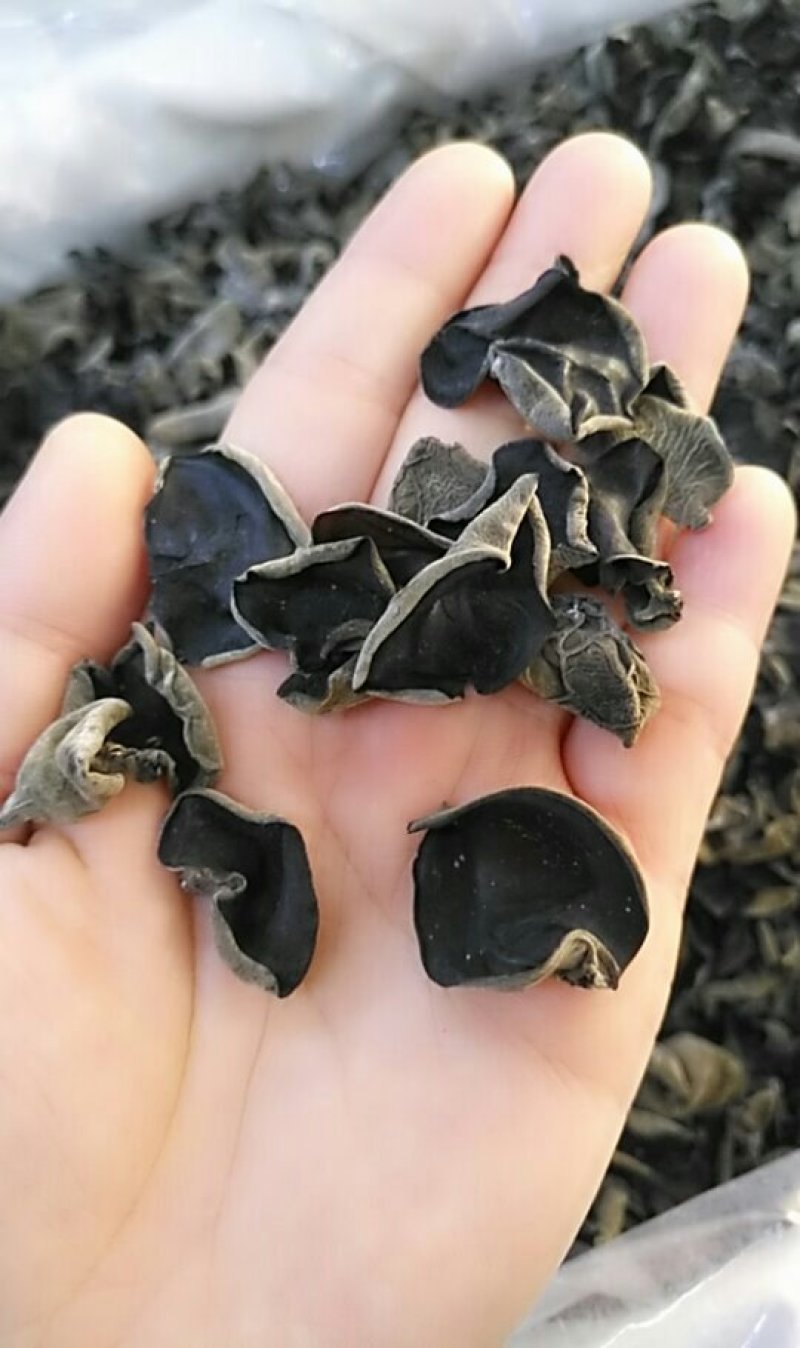 木耳黑厚东北耳，可看视频，产地直销