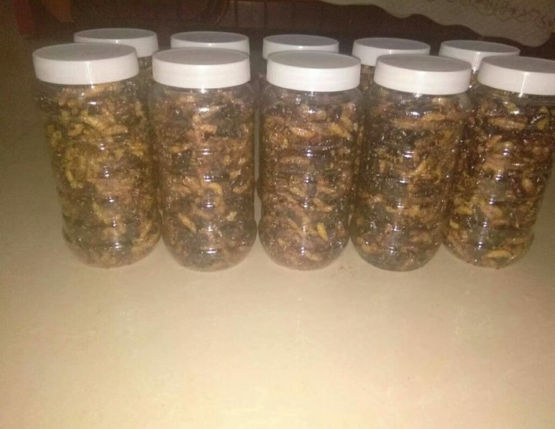 大量供应速冻蜂蛹。