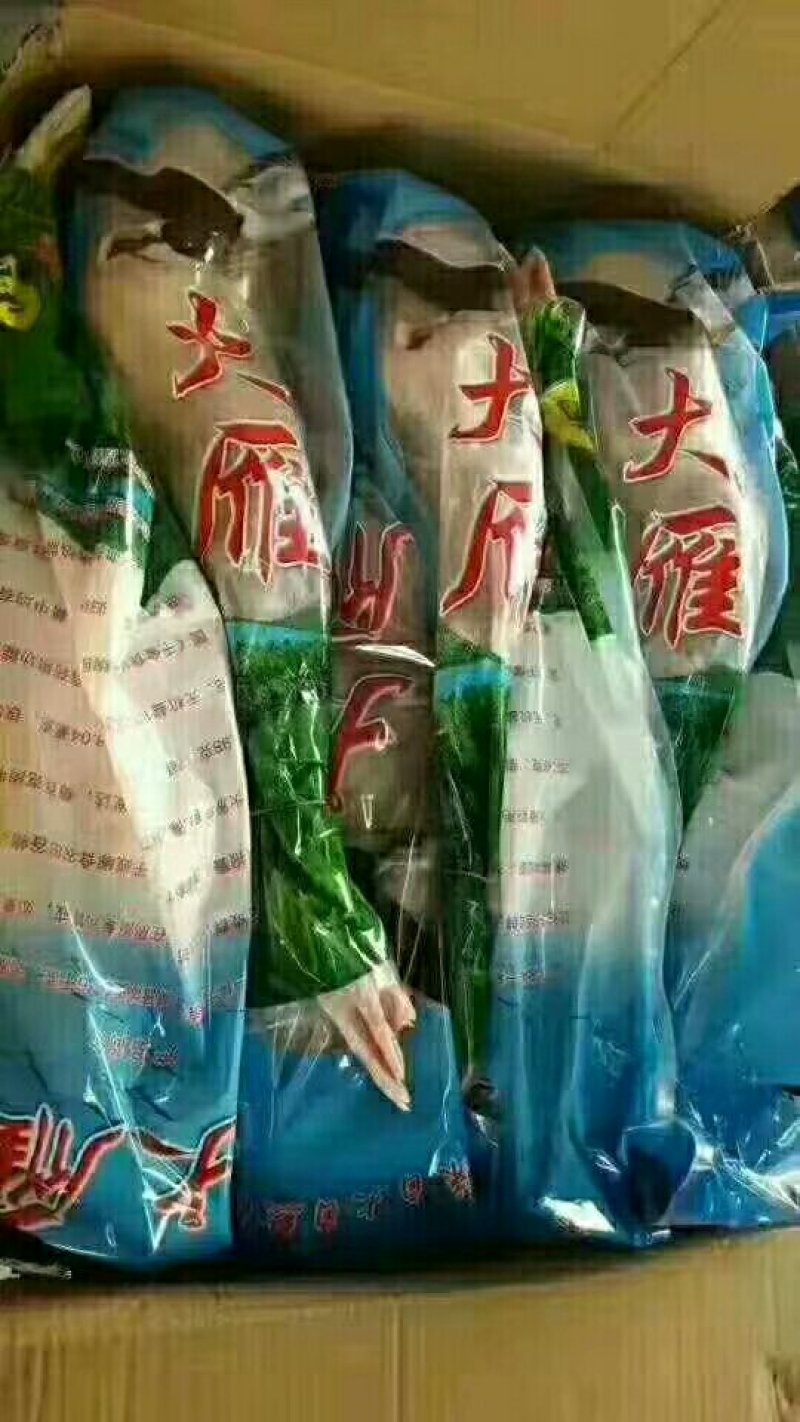 鳄鱼