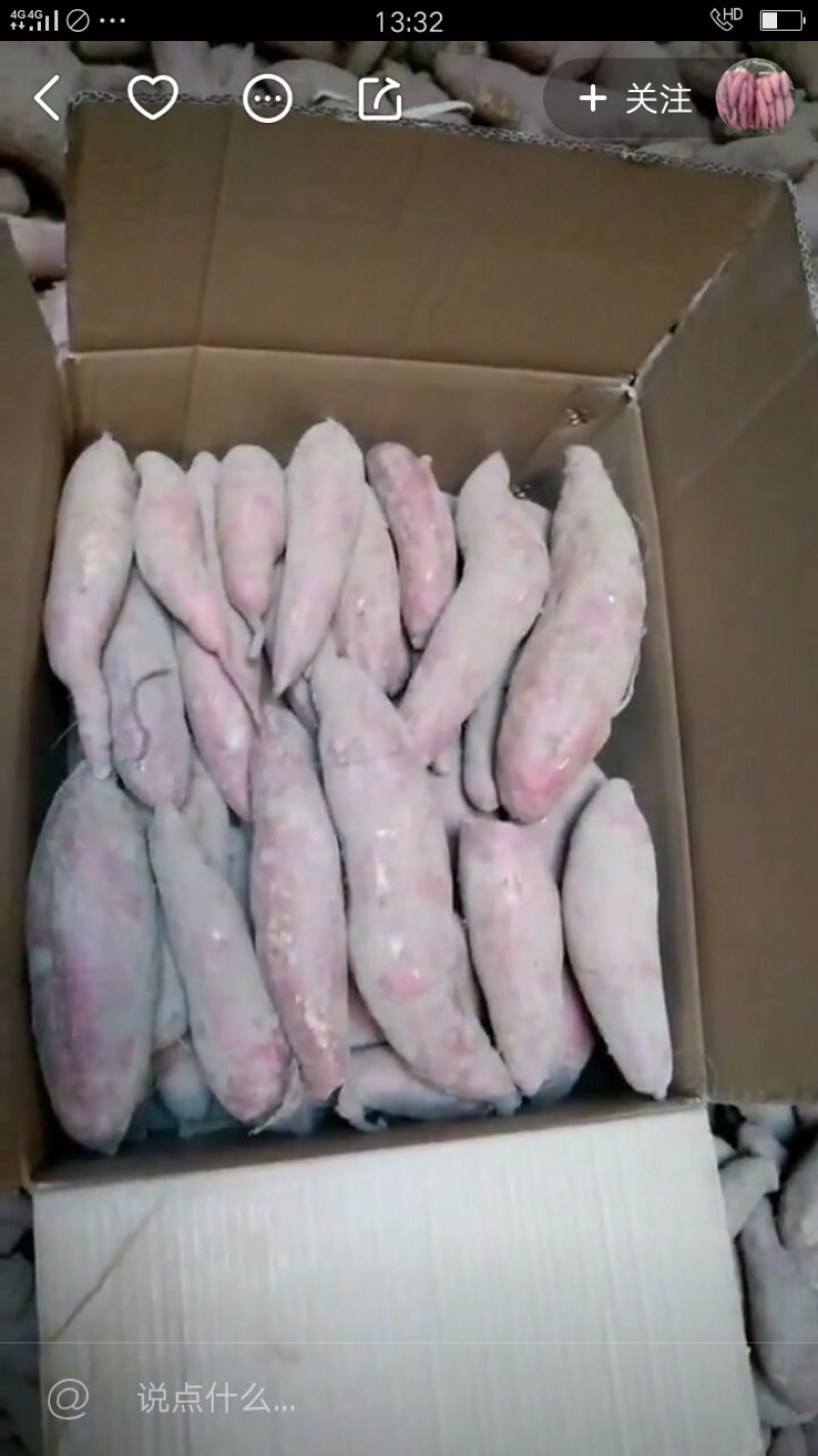 秦薯