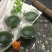 章丘鲍芹，酒店商超专供，大型章丘鲍芹专业合作社！