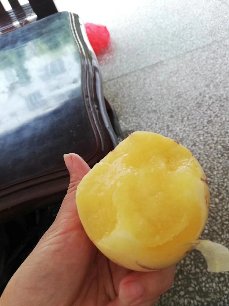 云南人参果石林人参果供应，基地直供，量大从优，欢迎选购