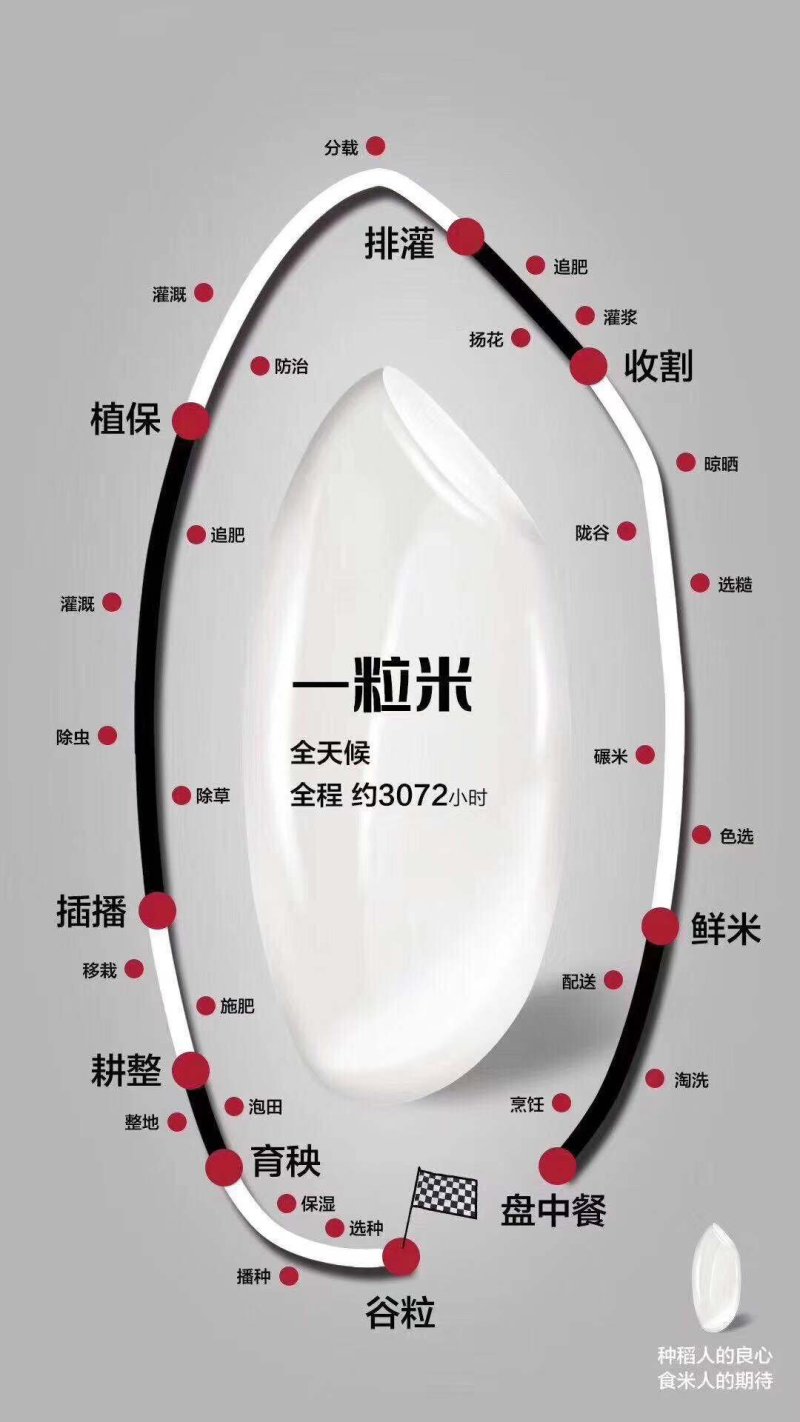 稻花香大米