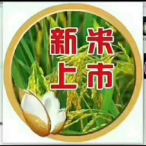 稻花香大米