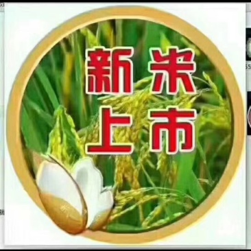 稻花香大米